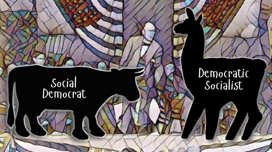 Cow Not Llama, Social Democrat Not Democratic Socialist