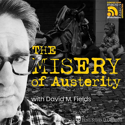 David Fields The Misery of Austerity